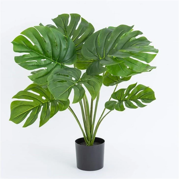 พืชกระถาง Monstera ประดิษฐ์