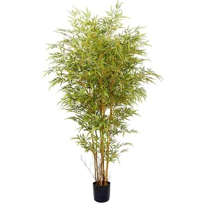 แนวโน้มการพัฒนาในอนาคตของพืชจำลองคืออะไร