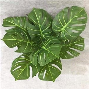 สาขาใบเต่าเทียม