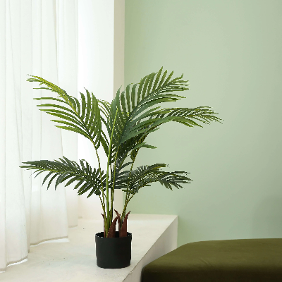 ลักษณะของการจําลองเมเปิ้ลสีแดงคืออะไร