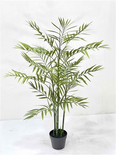 ต้นปาล์มไม้ไผ่เทียม